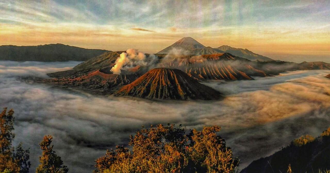 Ijen Transito Hotel Ketapang  Eksteriør billede