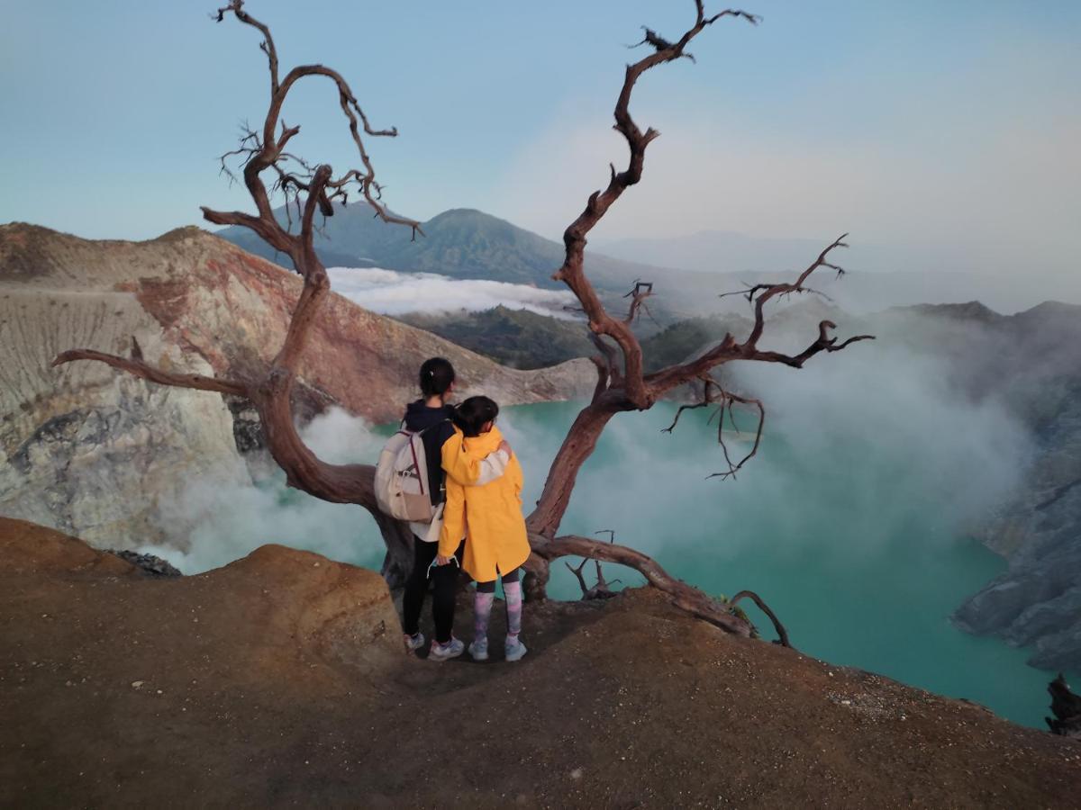 Ijen Transito Hotel Ketapang  Eksteriør billede